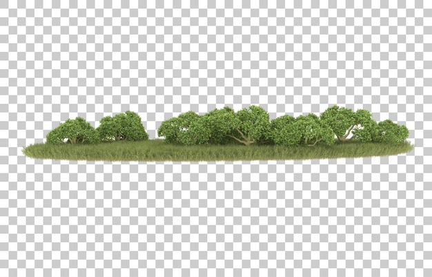 Hierba sobre fondo transparente. Representación 3d - ilustración