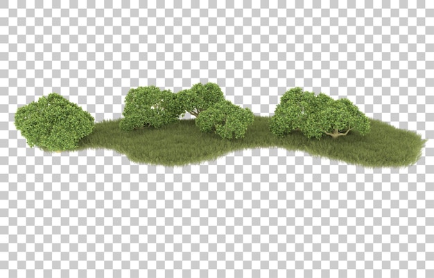 Hierba sobre fondo transparente. Representación 3d - ilustración