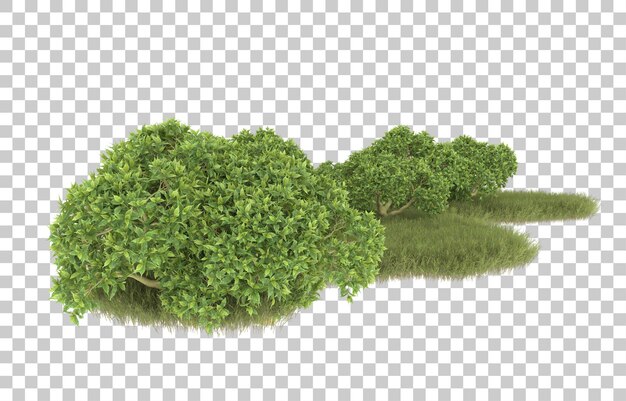 Hierba sobre fondo transparente. Representación 3d - ilustración