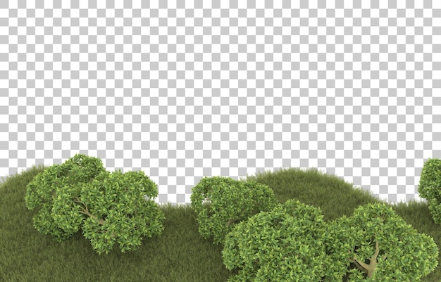 Hierba sobre fondo transparente. Representación 3d - ilustración