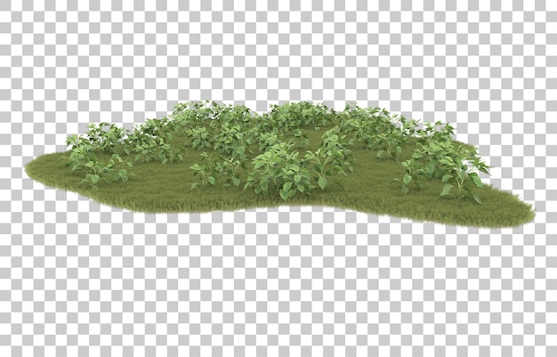 Hierba sobre fondo transparente. Representación 3d - ilustración