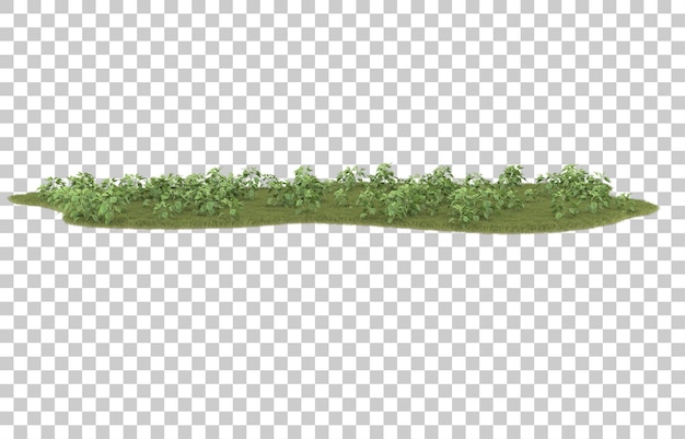 Hierba sobre fondo transparente. Representación 3d - ilustración