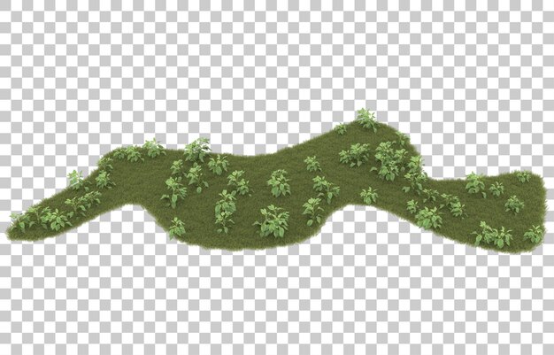 Hierba sobre fondo transparente. Representación 3d - ilustración