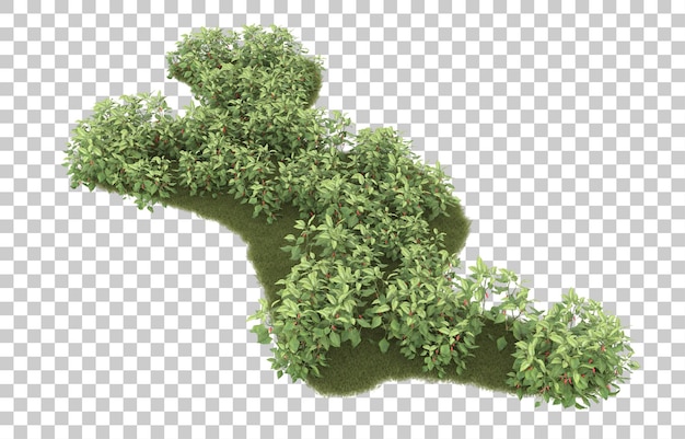 Hierba sobre fondo transparente. Representación 3d - ilustración