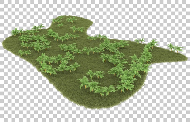 Hierba sobre fondo transparente. Representación 3d - ilustración
