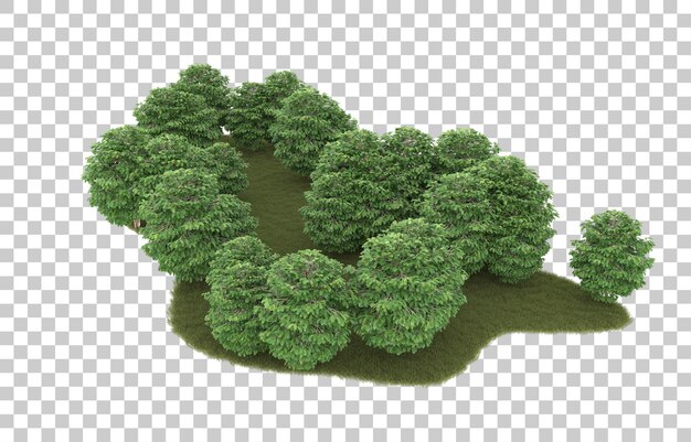 Hierba sobre fondo transparente. Representación 3d - ilustración