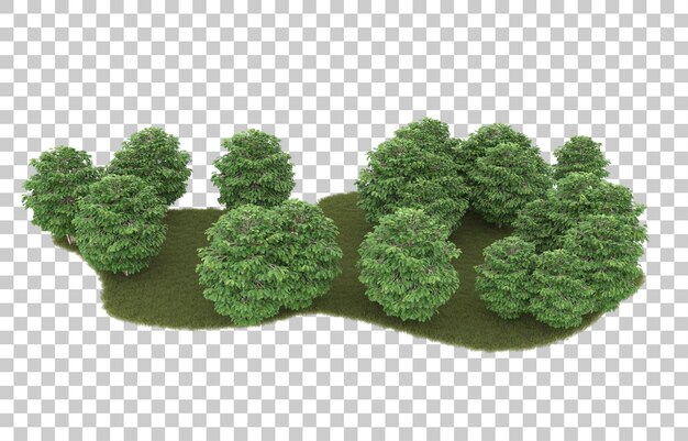 Hierba sobre fondo transparente. Representación 3d - ilustración
