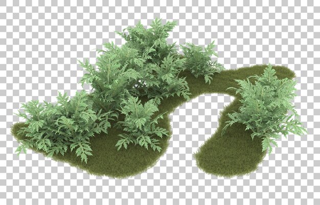 Hierba sobre fondo transparente. Representación 3d - ilustración
