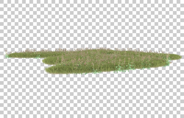 Hierba sobre fondo transparente. Representación 3d - ilustración