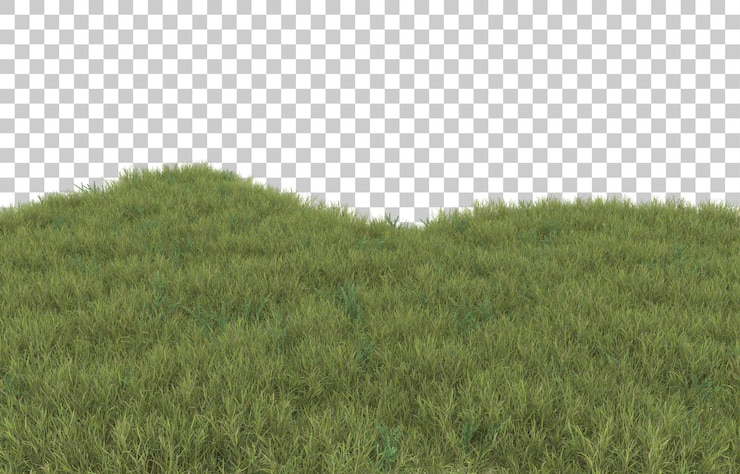 PSD hierba sobre fondo transparente. representación 3d - ilustración