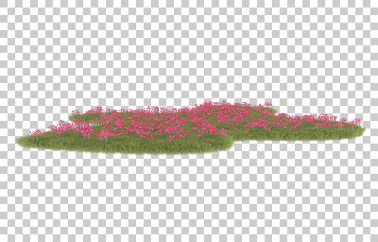 PSD hierba sobre fondo transparente. representación 3d - ilustración