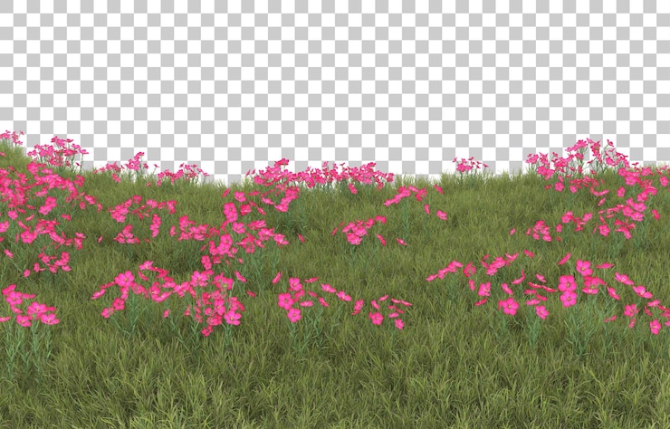 PSD hierba sobre fondo transparente. representación 3d - ilustración