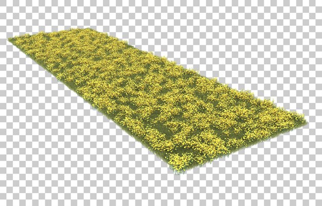 Hierba sobre fondo transparente. Representación 3d - ilustración