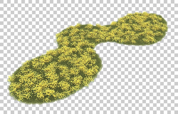 Hierba sobre fondo transparente. Representación 3d - ilustración