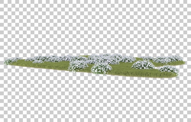 Hierba sobre fondo transparente. Representación 3d - ilustración