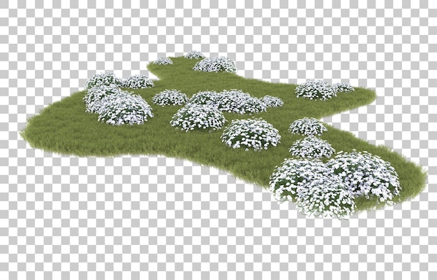 Hierba sobre fondo transparente. Representación 3d - ilustración