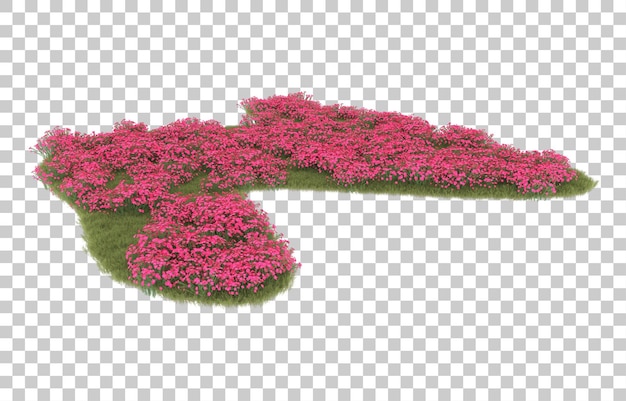 Hierba sobre fondo transparente. Representación 3d - ilustración