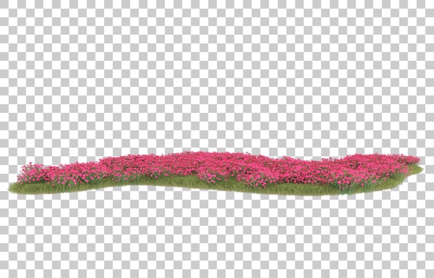 Hierba sobre fondo transparente. Representación 3d - ilustración