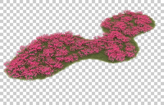 Hierba sobre fondo transparente. Representación 3d - ilustración