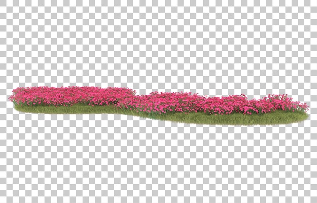 Hierba sobre fondo transparente. Representación 3d - ilustración