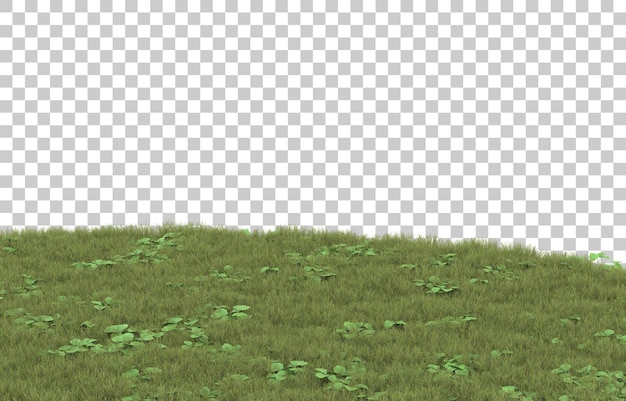 PSD hierba sobre fondo transparente. representación 3d - ilustración