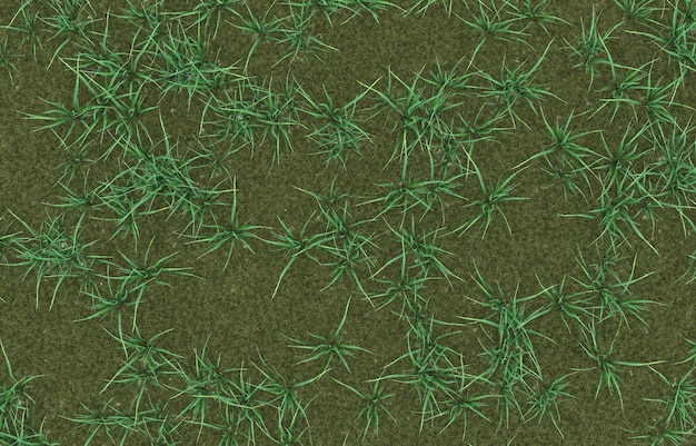 PSD hierba sobre fondo transparente. representación 3d - ilustración