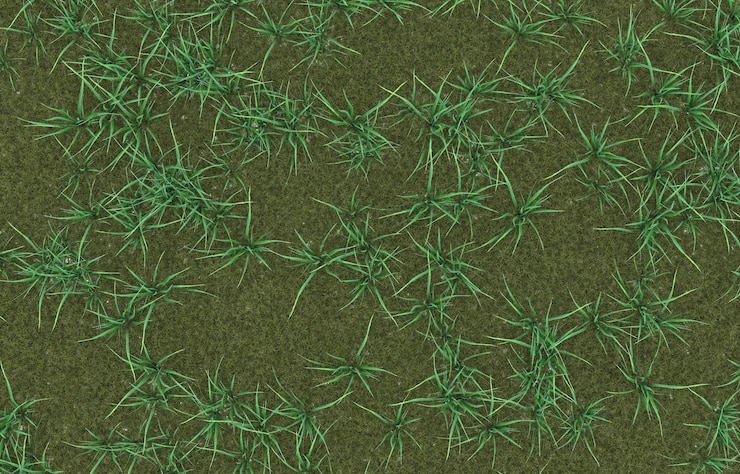 PSD hierba sobre fondo transparente. representación 3d - ilustración