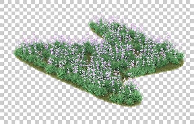 Hierba sobre fondo transparente. Representación 3d - ilustración