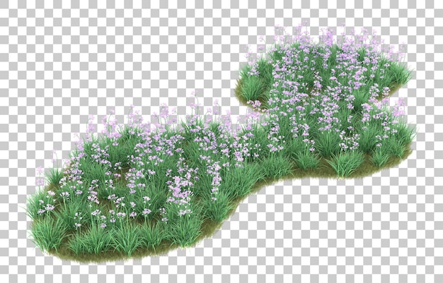 Hierba sobre fondo transparente. Representación 3d - ilustración