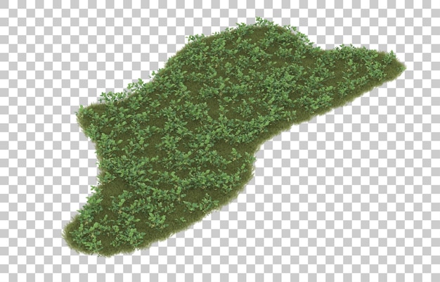 Hierba sobre fondo transparente. Representación 3d - ilustración