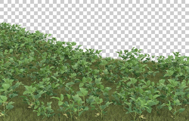 Hierba sobre fondo transparente. Representación 3d - ilustración