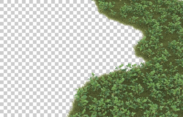 Hierba sobre fondo transparente. Representación 3d - ilustración