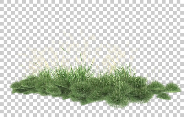 Hierba sobre fondo transparente. Representación 3d - ilustración