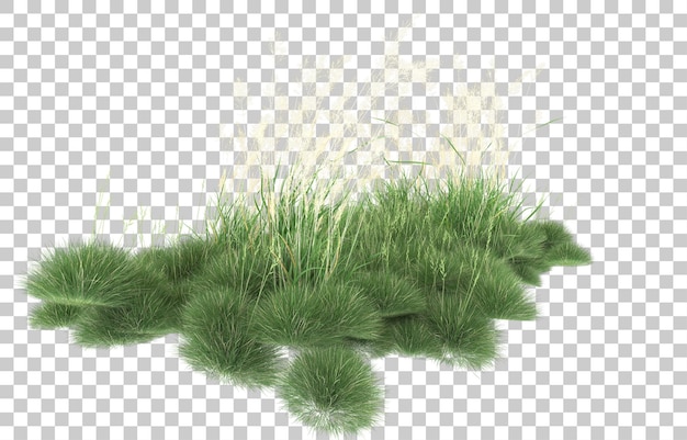 Hierba sobre fondo transparente. Representación 3d - ilustración