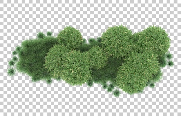 Hierba sobre fondo transparente. Representación 3d - ilustración