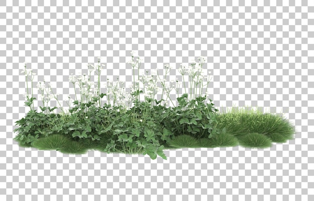 Hierba sobre fondo transparente. Representación 3d - ilustración