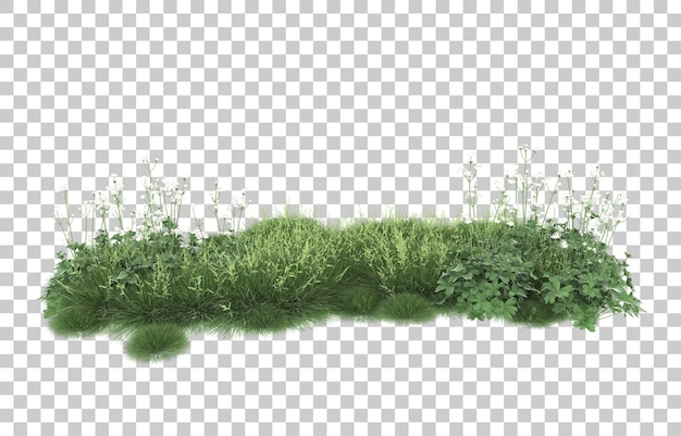 Hierba sobre fondo transparente. Representación 3d - ilustración