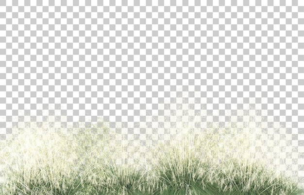 Hierba sobre fondo transparente. Representación 3d - ilustración
