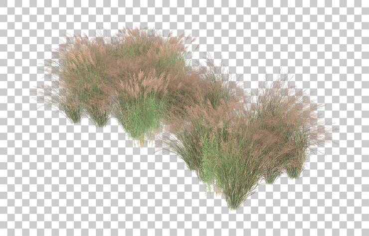 PSD hierba sobre fondo transparente. representación 3d - ilustración