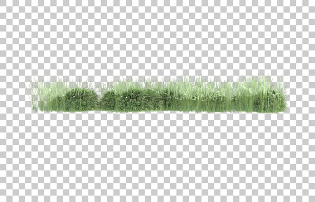 Hierba sobre fondo transparente. Representación 3d - ilustración