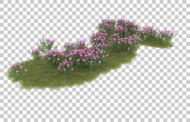 Hierba sobre fondo transparente. Representación 3d - ilustración