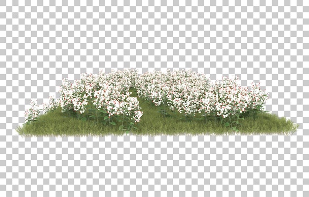 Hierba sobre fondo transparente. Representación 3d - ilustración