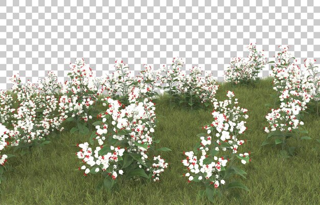 Hierba sobre fondo transparente. Representación 3d - ilustración