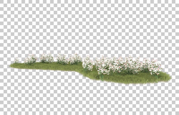 Hierba sobre fondo transparente. Representación 3d - ilustración