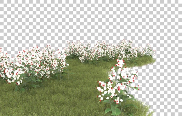 Hierba sobre fondo transparente. Representación 3d - ilustración