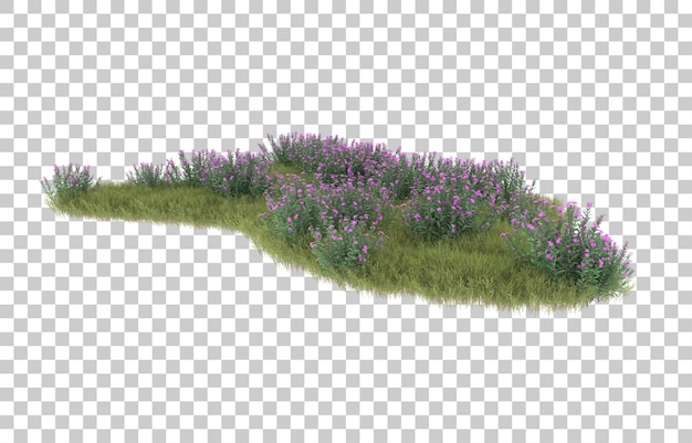 Hierba sobre fondo transparente. Representación 3d - ilustración