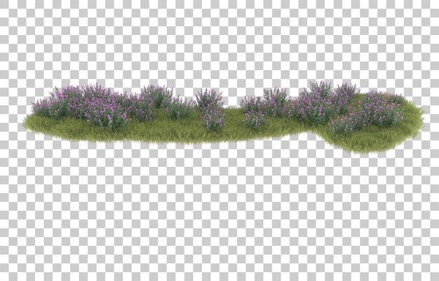 Hierba sobre fondo transparente. Representación 3d - ilustración