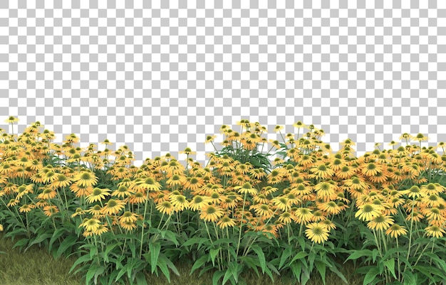 Hierba sobre fondo transparente. Representación 3d - ilustración