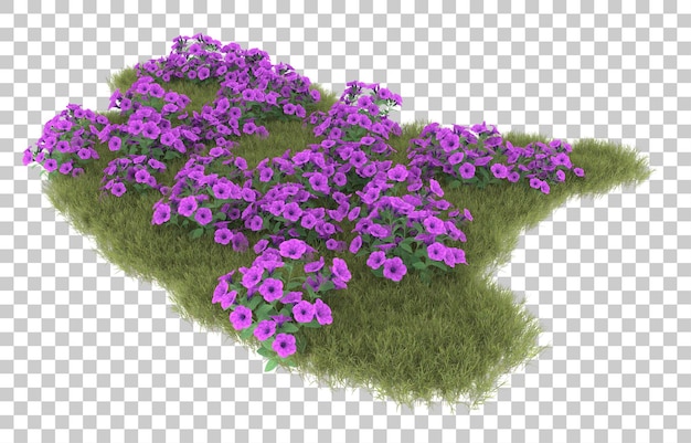 Hierba sobre fondo transparente. Representación 3d - ilustración