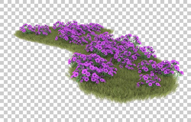 Hierba sobre fondo transparente. Representación 3d - ilustración